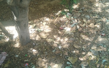 Plot For Sale in Shaheed Bhagat Singh Nagar