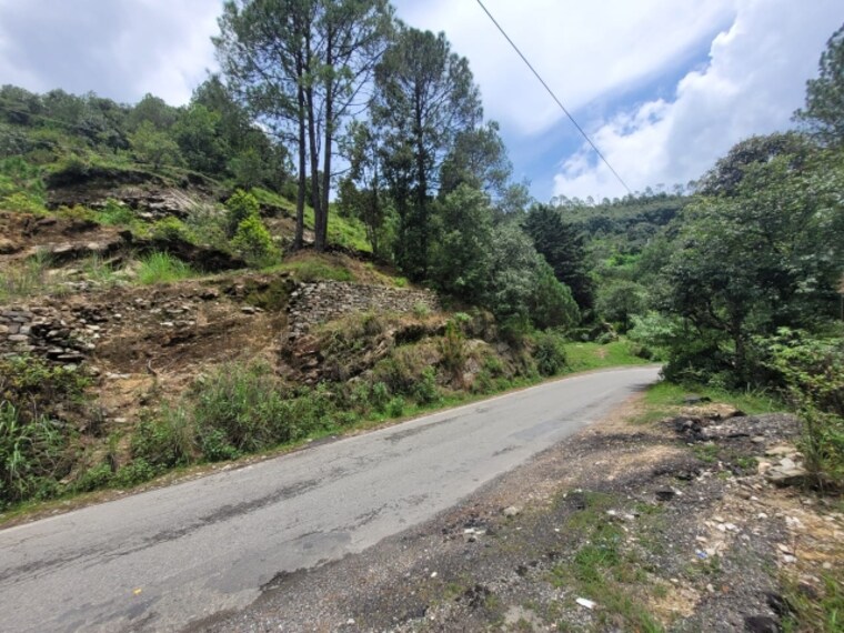 undefined, dhanachuli  10500 Sq.Ft. Plot In Dhanachuli Nainital 8799231