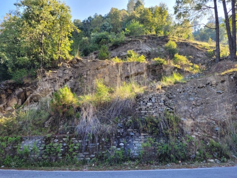 Garden, dhanachuli  10500 Sq.Ft. Plot In Dhanachuli Nainital 8799231