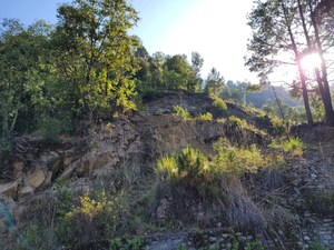 Plot Area in  Plot at Dhanachuli – for Sale