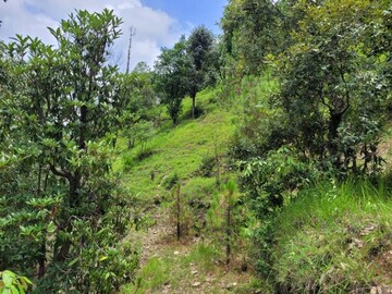  Plot For Sale in Dhanachuli