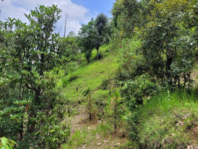 Plot For Sale in Laxmi Project 