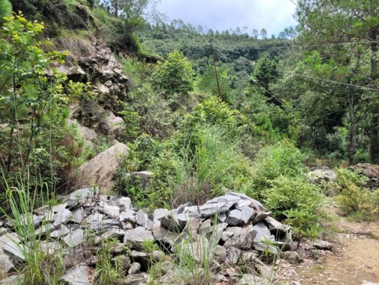 undefined, dhanachuli  10500 Sq.Ft. Plot In Dhanachuli Nainital 8799231