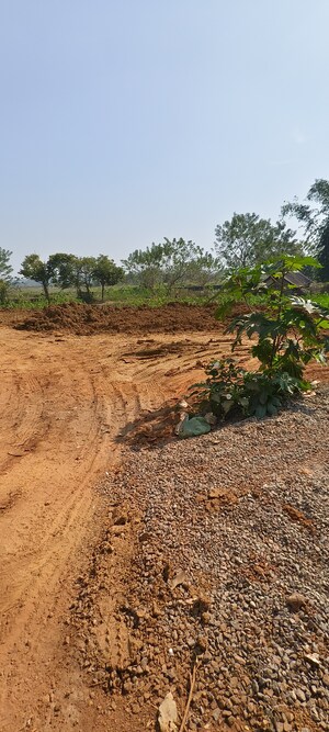 Plot Area in  Plot at Sijua – for Sale