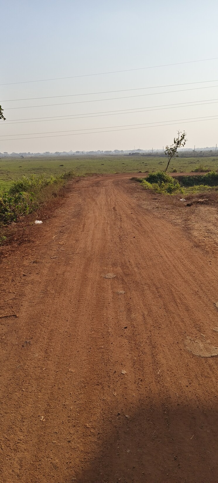 undefined, sijua  1800 Sq.Ft. Plot In Sijua Bhubaneswar 8799373