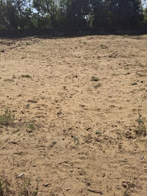  Plot – Exterior View View at Bhondsi - for Sale