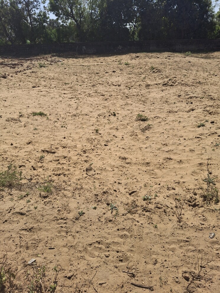 Exterior View, bhondsi  100 Sq.Yd. Plot In Bhondsi Gurgaon 8799478