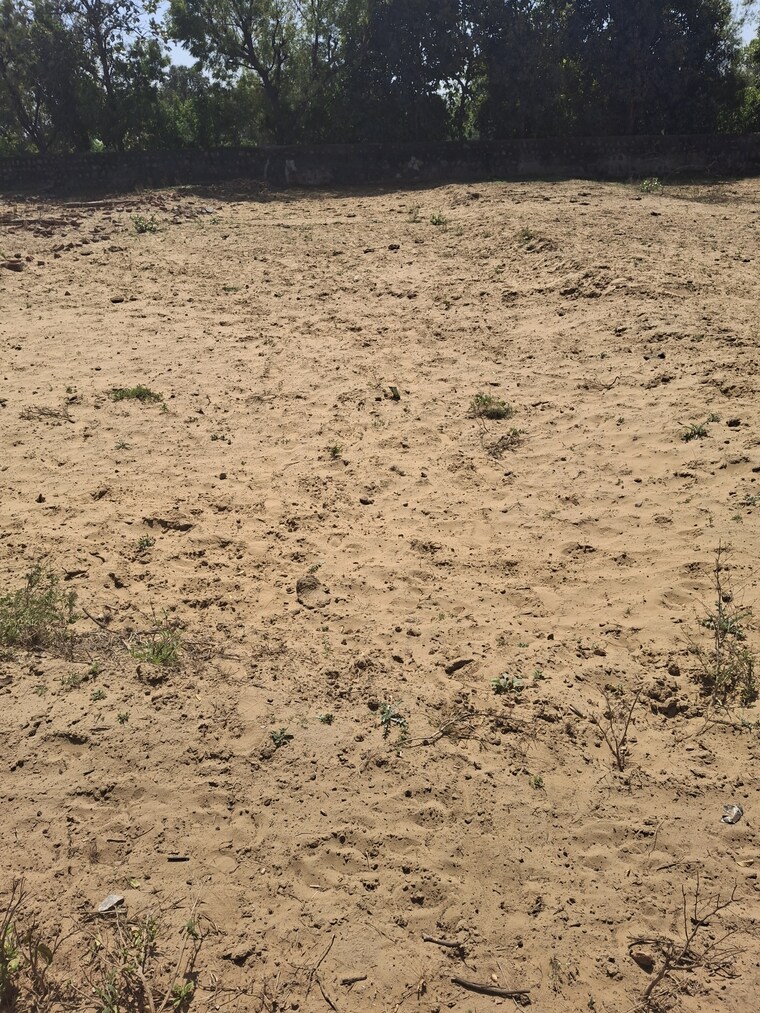 Exterior View, bhondsi  100 Sq.Yd. Plot In Bhondsi Gurgaon 8799478