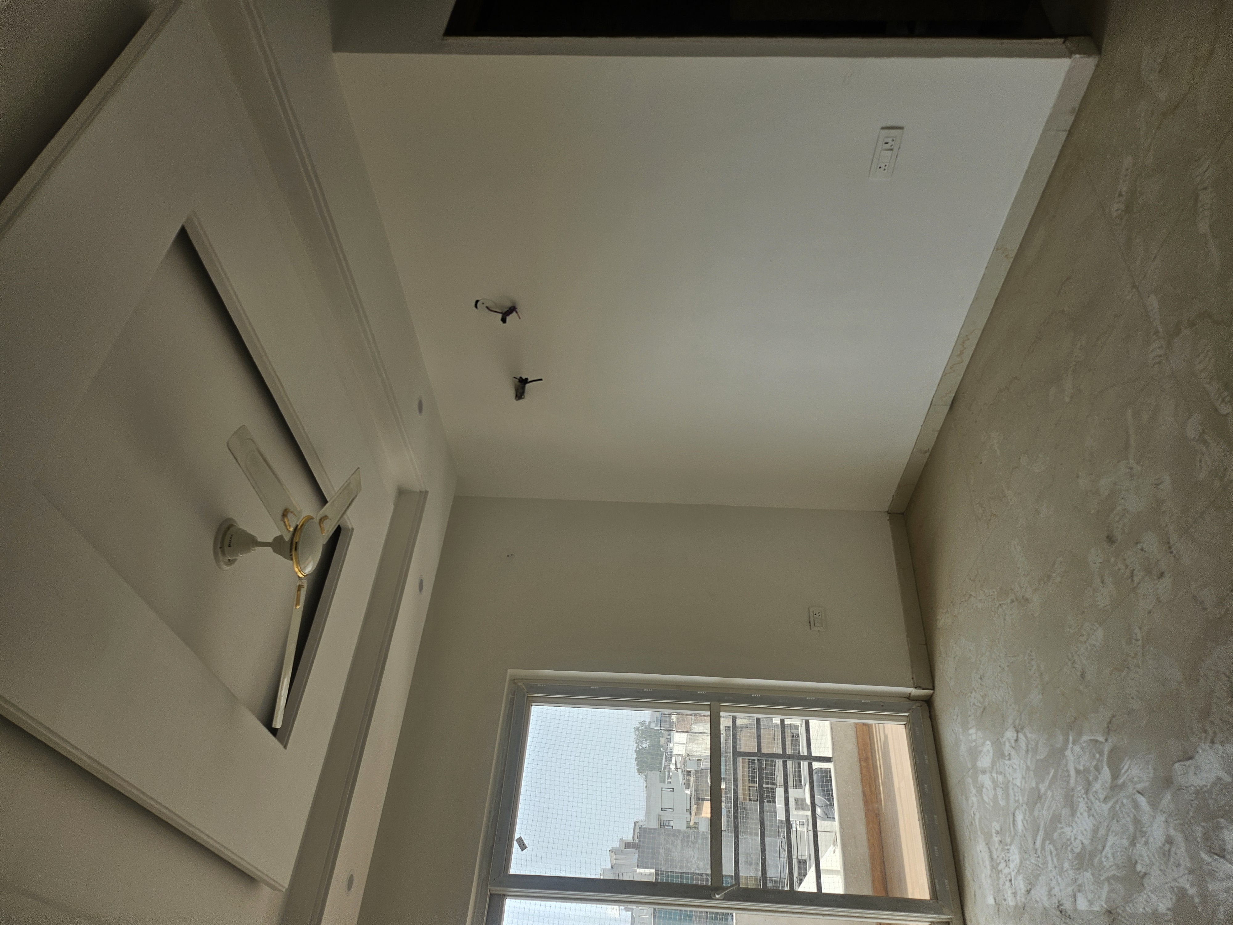 3 BHK Builder Floor For Sale in Sector 49