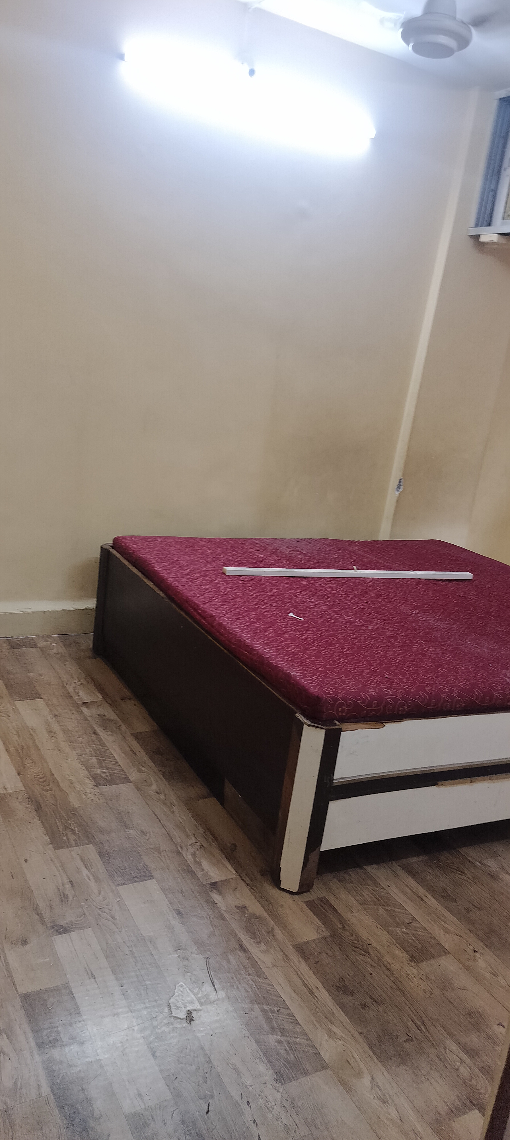 1 BHK Apartment For Rent in Manish Kaveri CHS