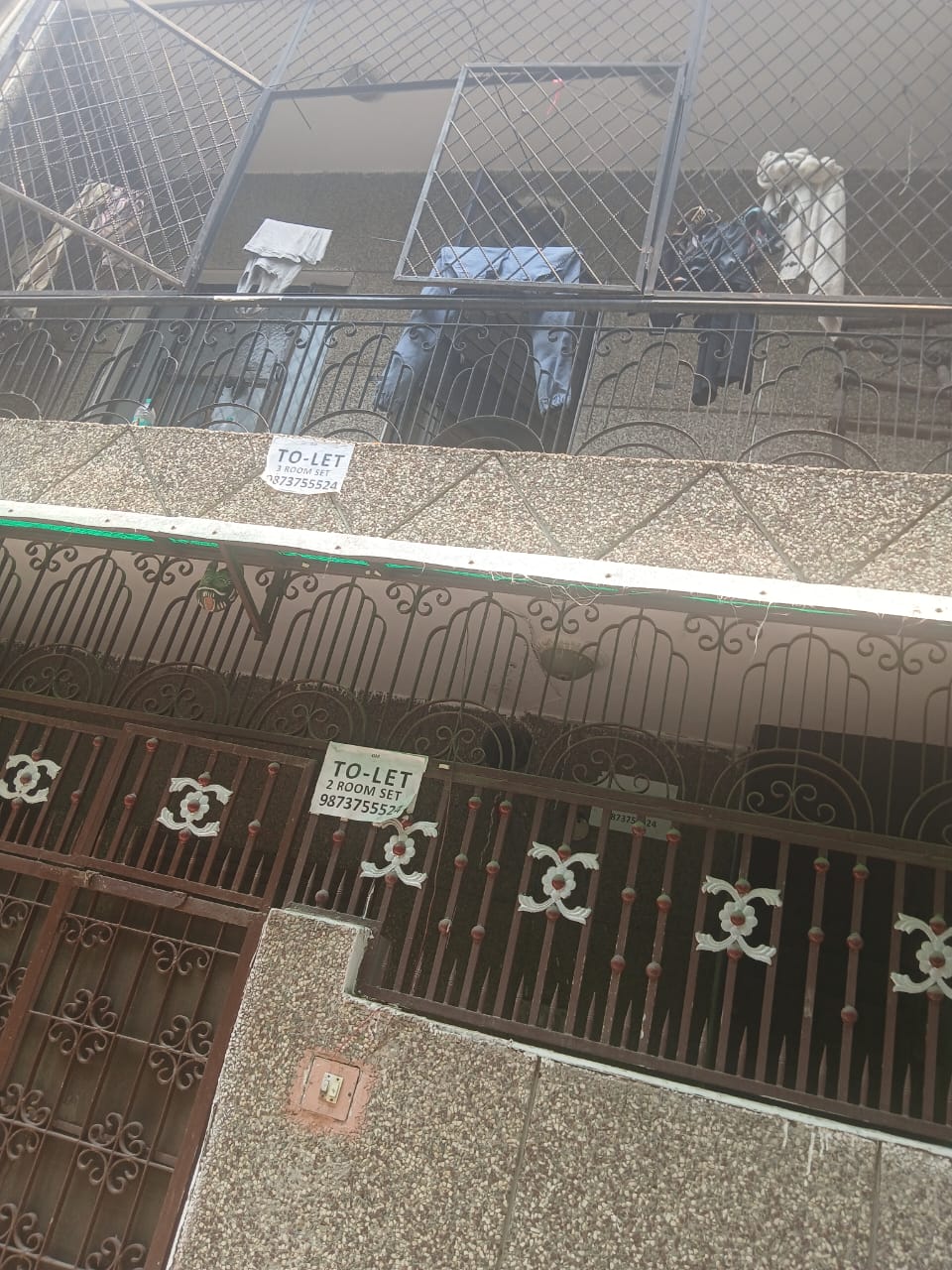 5 BHK Builder Floor For Sale in Sector 22