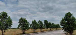  Plot For Sale in Turkayamjal