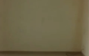 1 BHK Apartment For Rent in Growel 101 Mall, Defence Colony