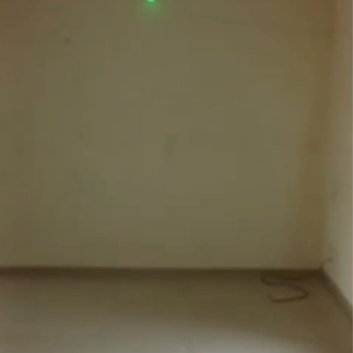 1 BHK Apartment For Rent in Growel 101 Mall