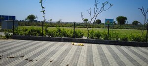 Plot Area in  Plot at Wave City, Wave City – for Sale