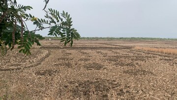 Plot Area in  Plot at Uran – for Sale