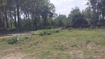 Plot Area in  Plot at Shimla Bypass Road – for Sale