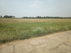 Plot Area in  Plot at Hooghly – for Sale