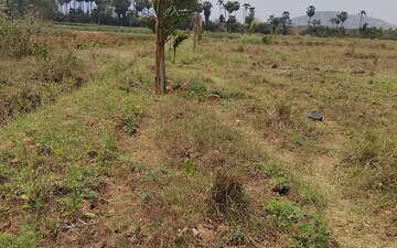 Plot For Sale in Dewas Road