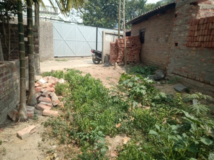 Exterior View, hooghly  2160 Sq.Ft. Plot In Hooghly Kolkata 8800433