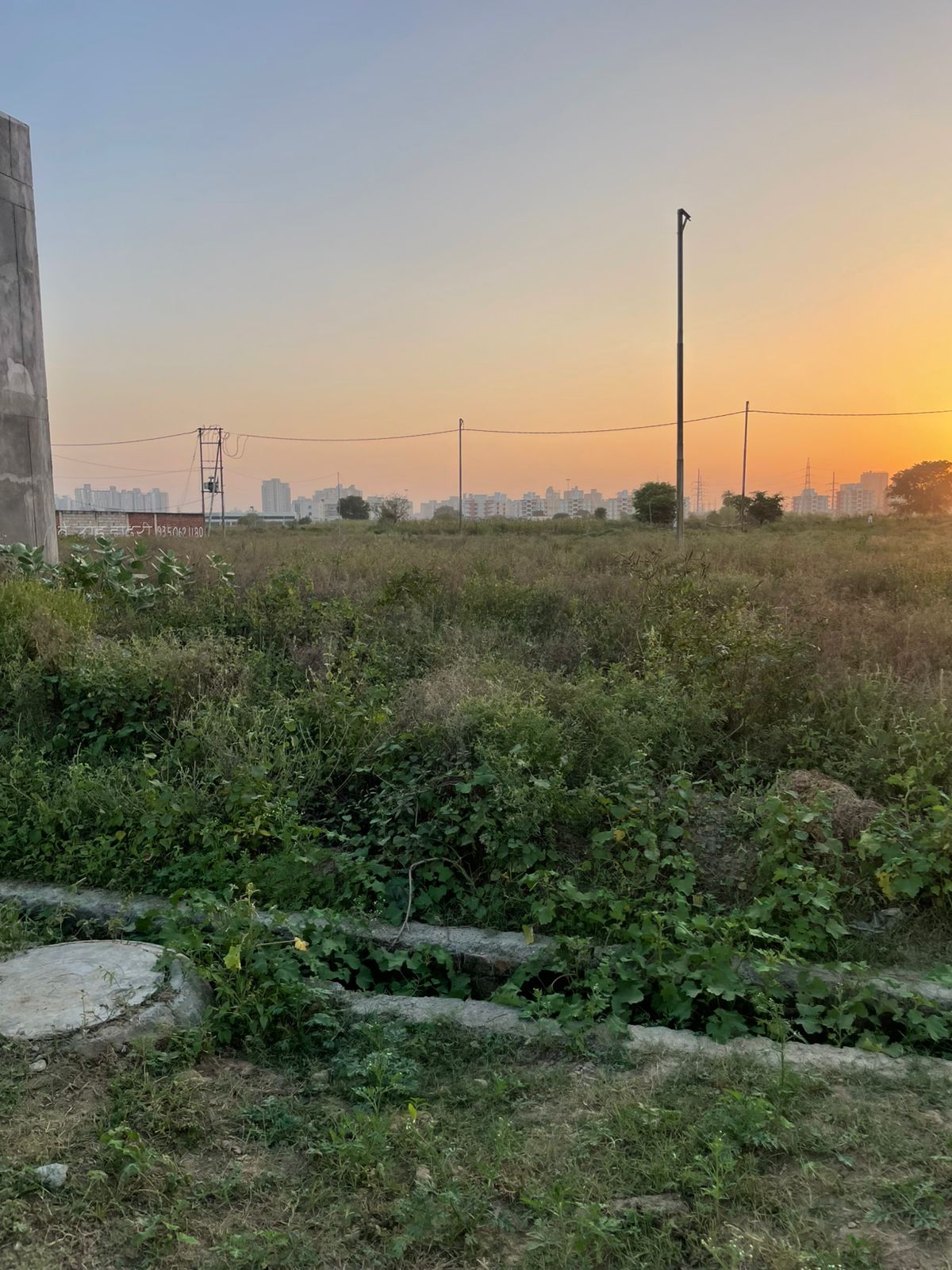 Plot For Sale in Yamuna Expressway