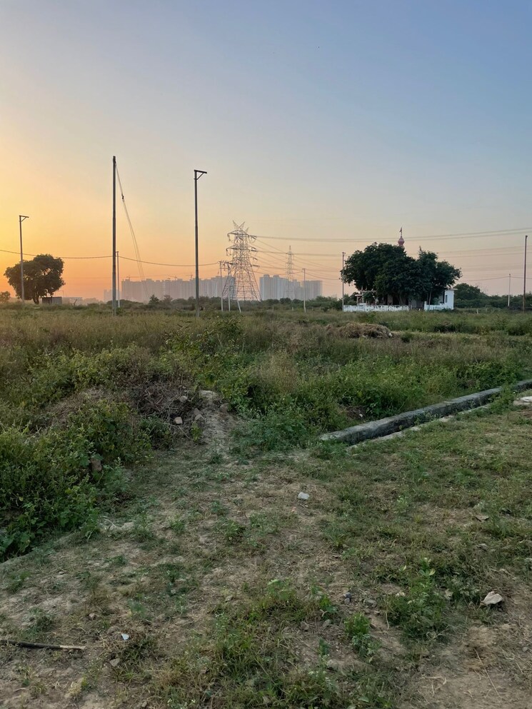 undefined, yamuna expressway  100 Sq.Yd. Plot In Yamuna Expressway Greater Noida 8800390