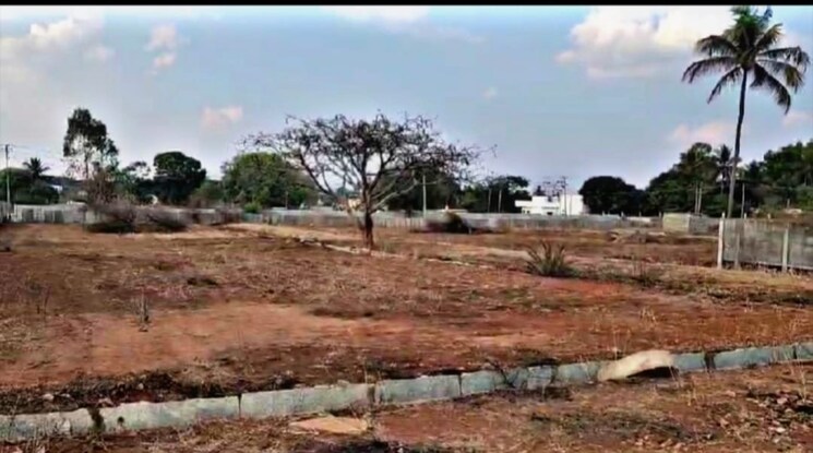 undefined, devanahalli  1500 Sq.Ft. Plot In Devanahalli Bangalore 8800157