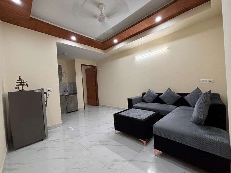 Living Room, saket 1 Bedroom 450 Sq.Ft. Builder Floor In Saket Delhi 8800506