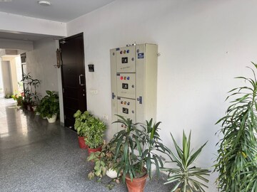 3 BHK Builder Floor – Exterior View View at Housing Board Colony Sector 51, Sector 51 - for Rent