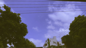  Plot For Sale in Sector 57