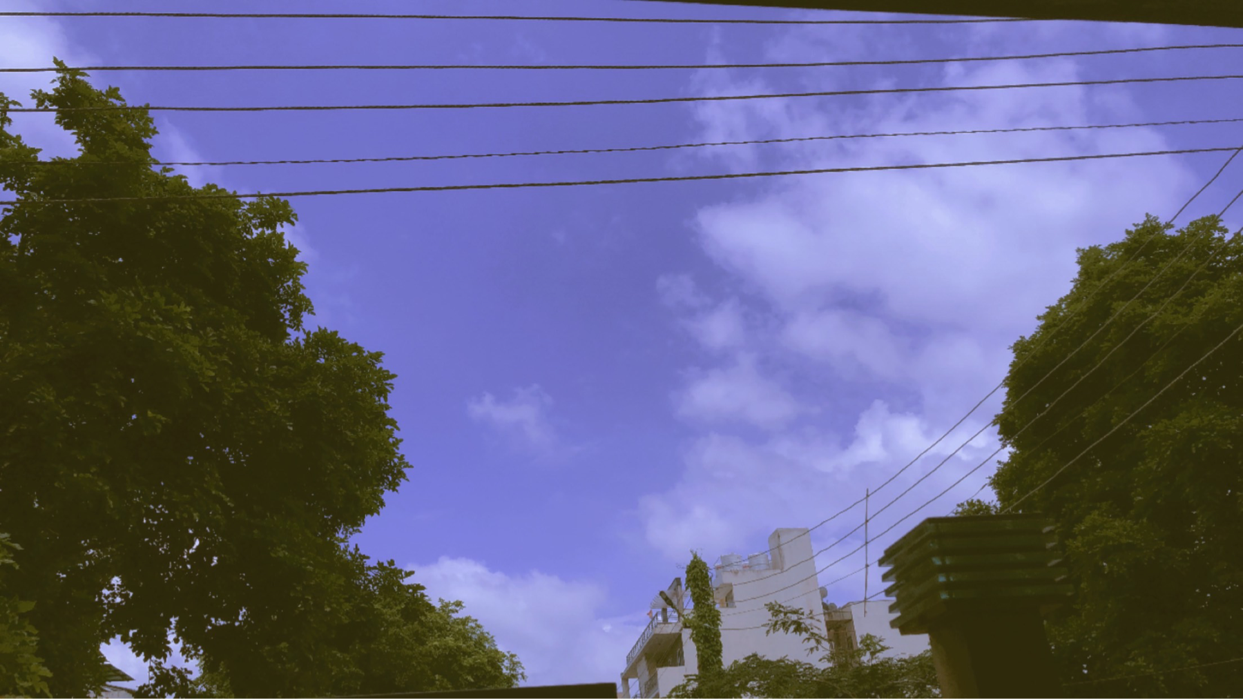 Plot For Sale in Sector 57