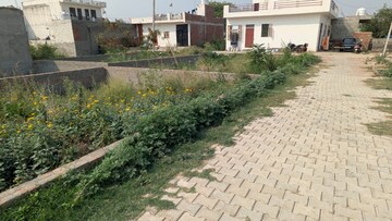 Plot Area in  Plot at Sector 137 – for Sale