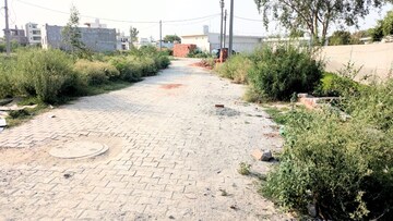Plot Area in  Plot at Sector 137 – for Sale