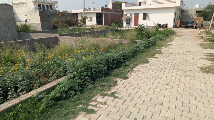 undefined, sector 137  80 Sq.Yd. Plot In Sector 137 Noida 8800702