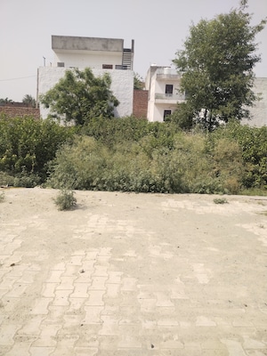  Plot For Sale in Jeevan Vihar