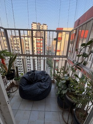 3 BHK Apartment For Sale in Amrapali Sapphire, Sector 45