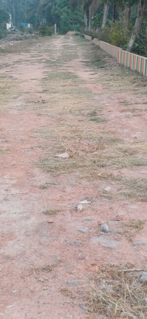 Plot Area in  Plot at Joka – for Sale