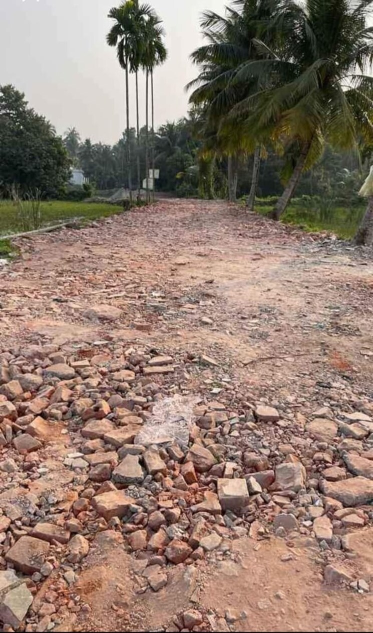 undefined, joka  3600 Sq.Ft. Plot In Joka Kolkata 8801136