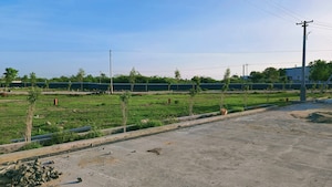  Plot For Sale in Panjappur