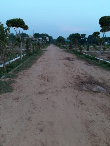 Plot Area in  Plot at Sector 142 – for Sale