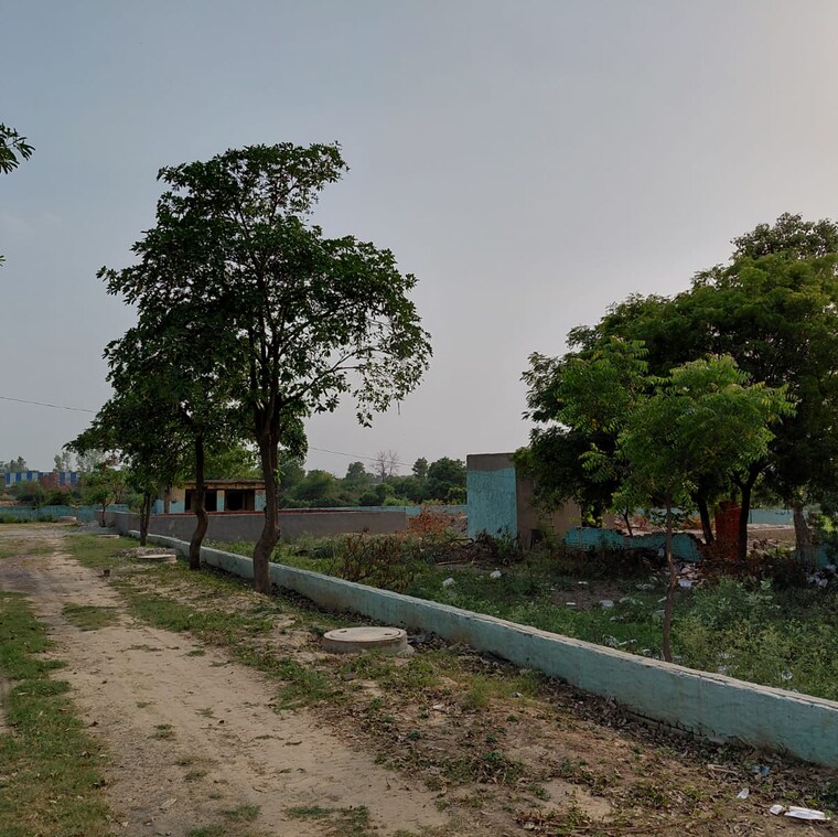 undefined, dankaur  100 Sq.Yd. Plot In Dankaur Greater Noida 8801834