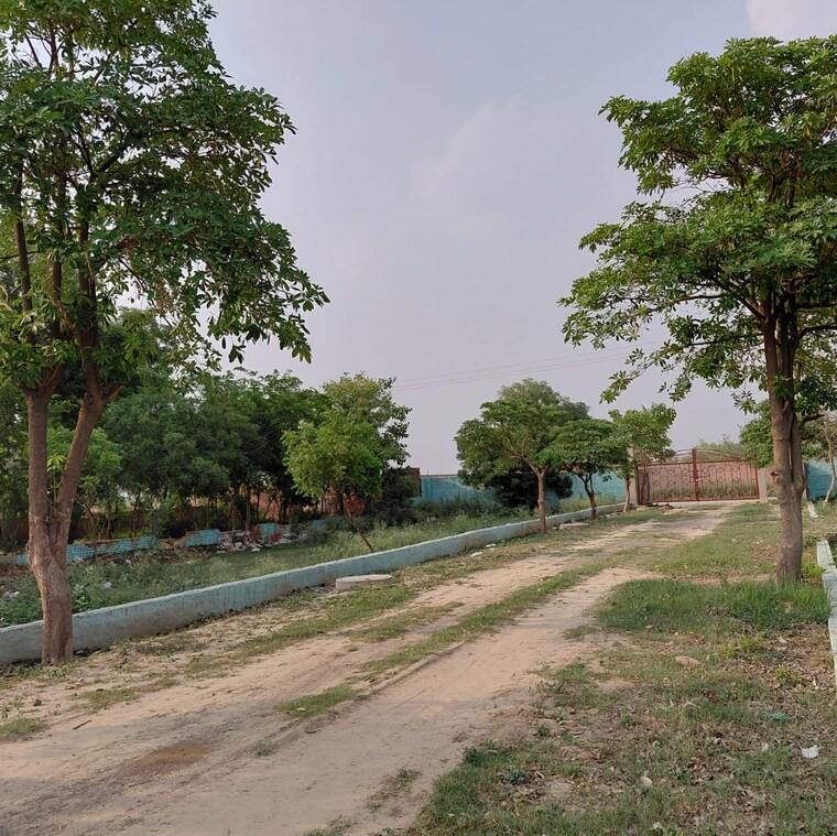 Other, dankaur  100 Sq.Yd. Plot In Dankaur Greater Noida 8801834