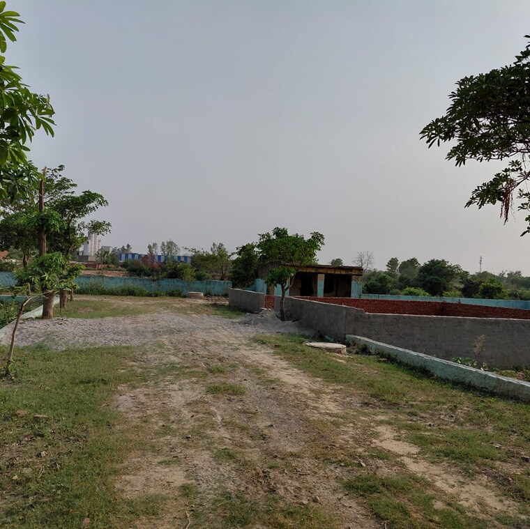 undefined, dankaur  100 Sq.Yd. Plot In Dankaur Greater Noida 8801834
