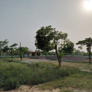Plot Area in  Plot at Dankaur – for Sale