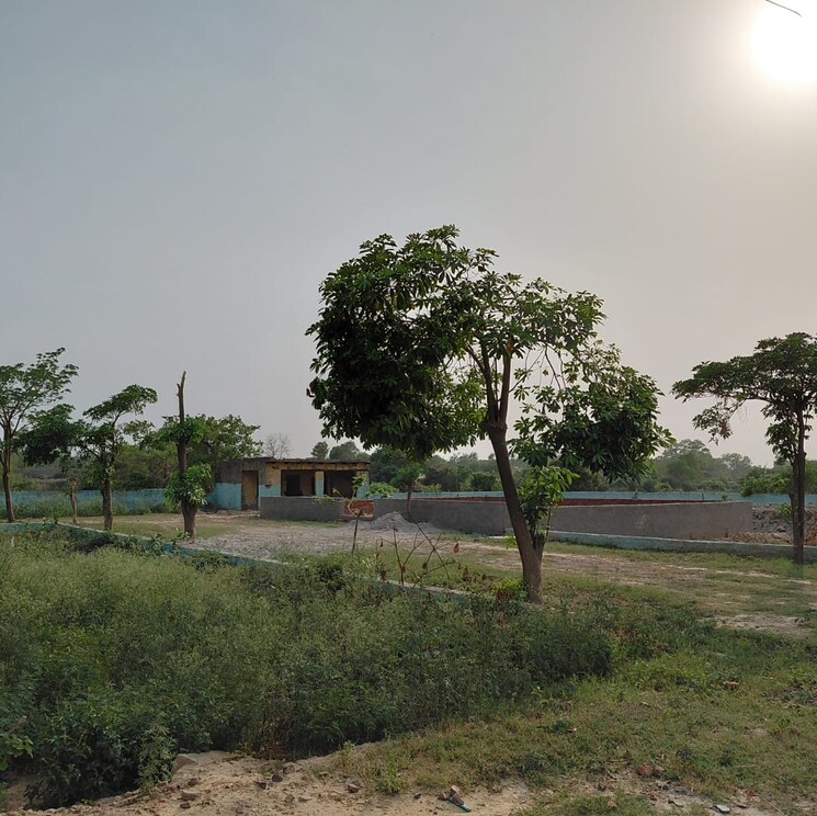 undefined, dankaur  100 Sq.Yd. Plot In Dankaur Greater Noida 8801834