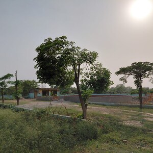Plot Area in  Plot at Dankaur – for Sale