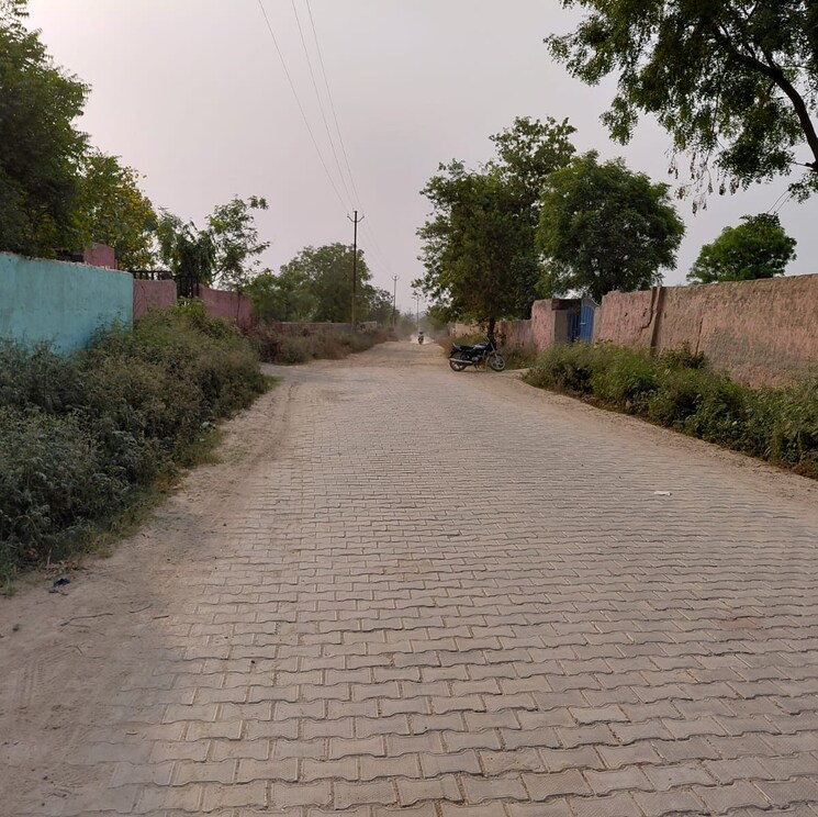 Other, dankaur  100 Sq.Yd. Plot In Dankaur Greater Noida 8801834