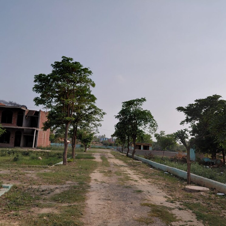 undefined, dankaur  100 Sq.Yd. Plot In Dankaur Greater Noida 8801834