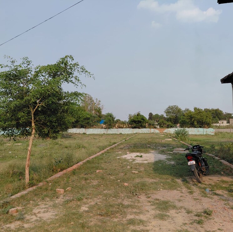 undefined, dankaur  100 Sq.Yd. Plot In Dankaur Greater Noida 8801834
