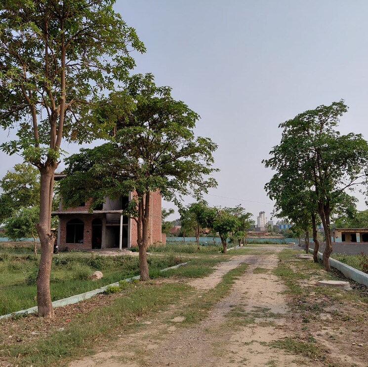 Exterior View, dankaur  100 Sq.Yd. Plot In Dankaur Greater Noida 8801834
